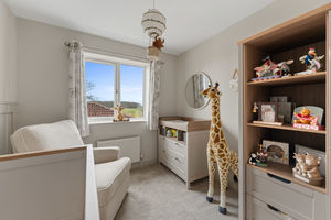 Photo 5- click for photo gallery